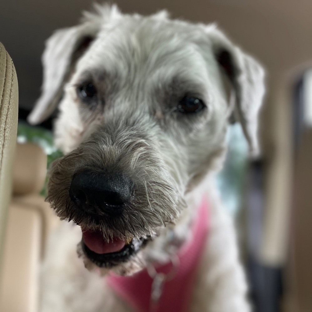 Meet your Posher, Katie